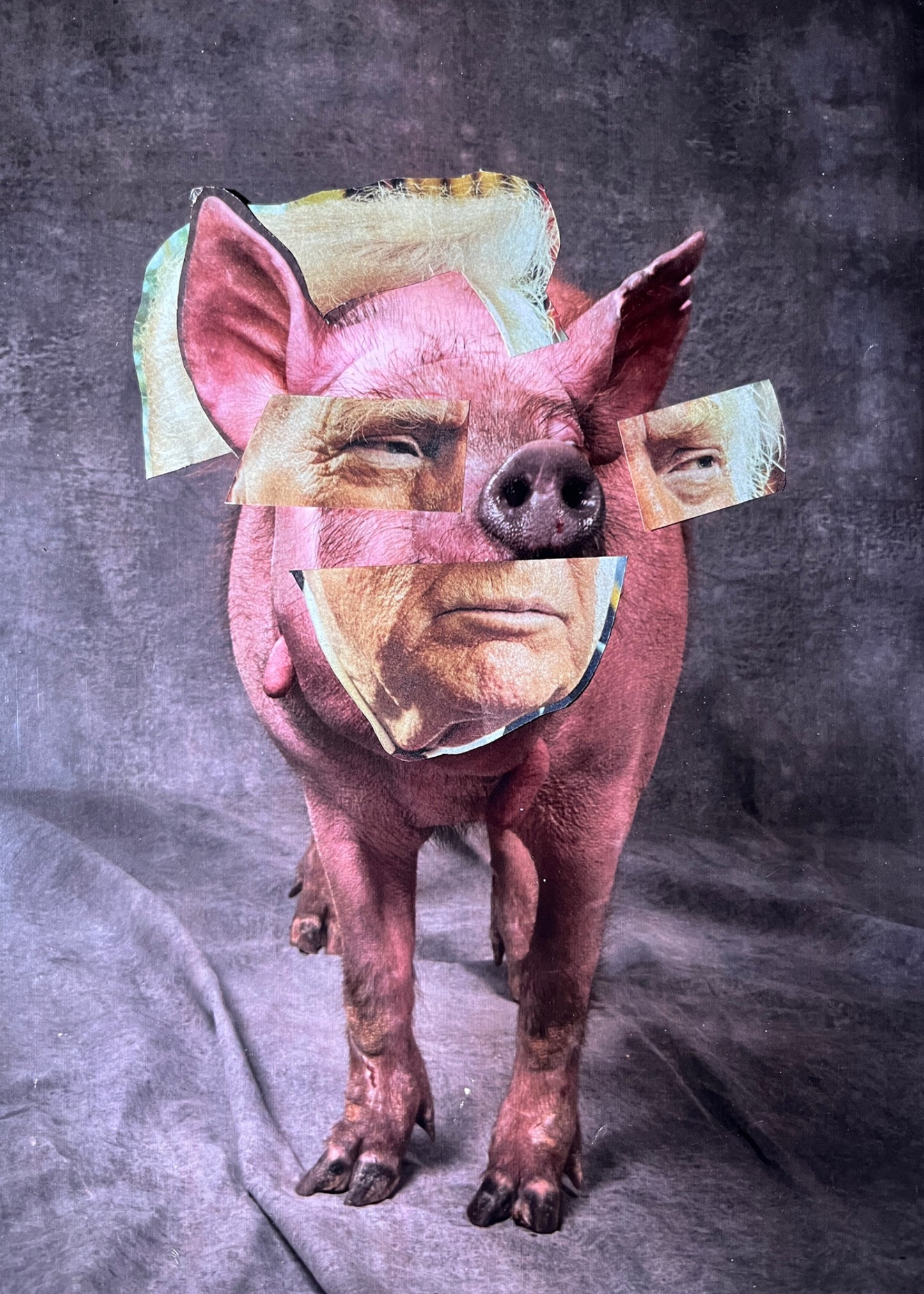 Print- Hush, Piggy.